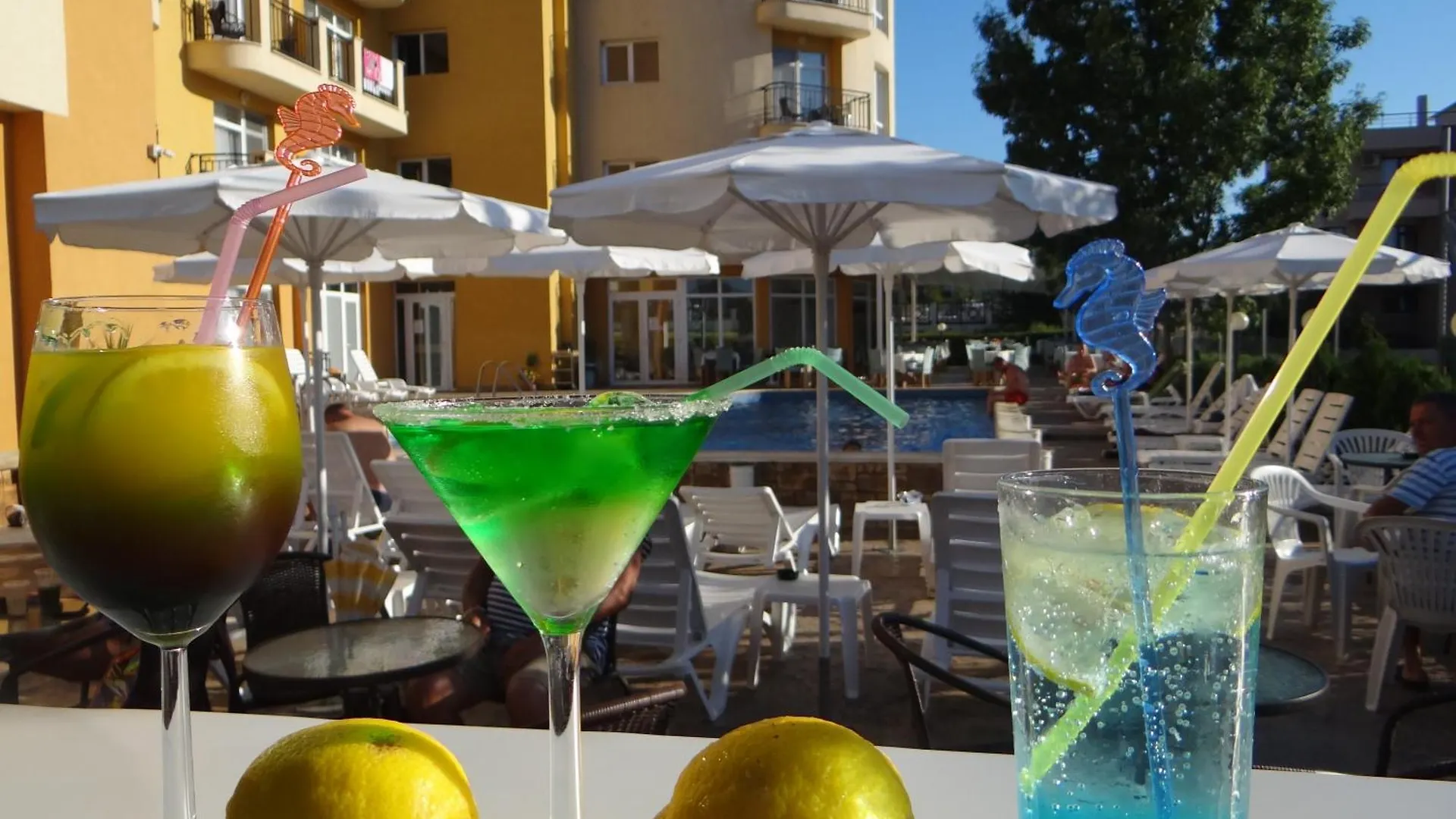Family Hotel Orios 프리모르스코